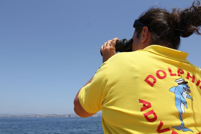 Gibraltar Dolphin Adventure - Pricing and Booking