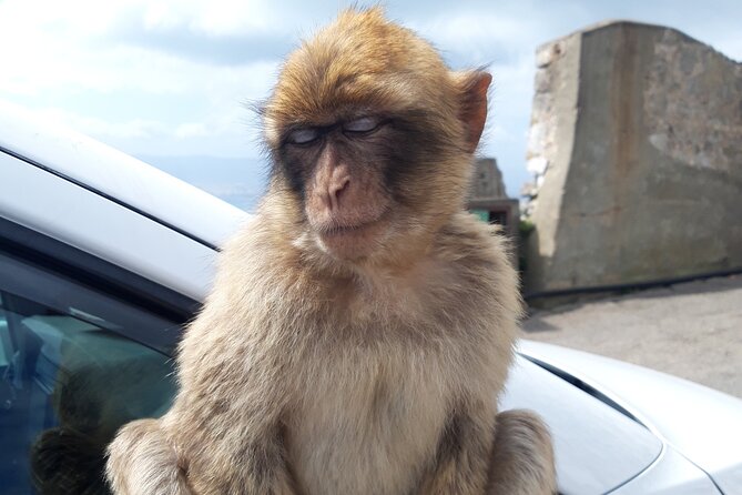 Gibraltar Sightseeing : Classic Shore Excursion (Private) - Pickup Details