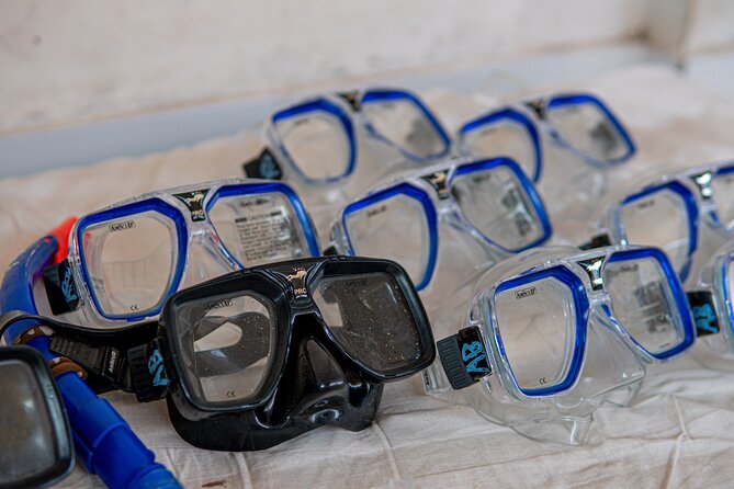 Gili Trawangan: Shared Gili Islands Snorkeling Tour - Marine Life Encountered