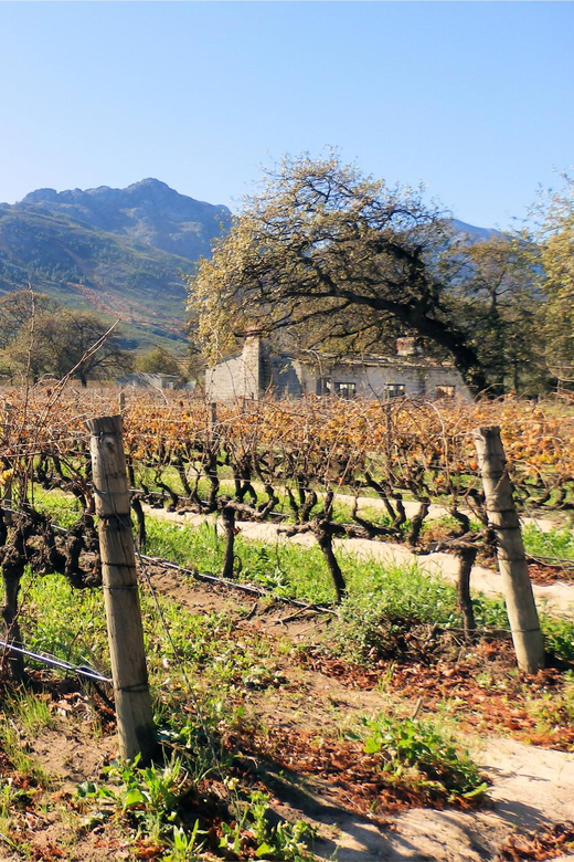 GO! Cape Winelands Tour - Paarl, Stellenbosch, Franschoek - Itinerary Highlights