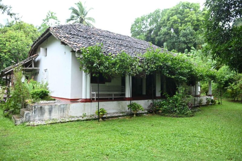 Godakawela Village Tour With Traditional 4 Causes Lunch - Itinerary Highlights