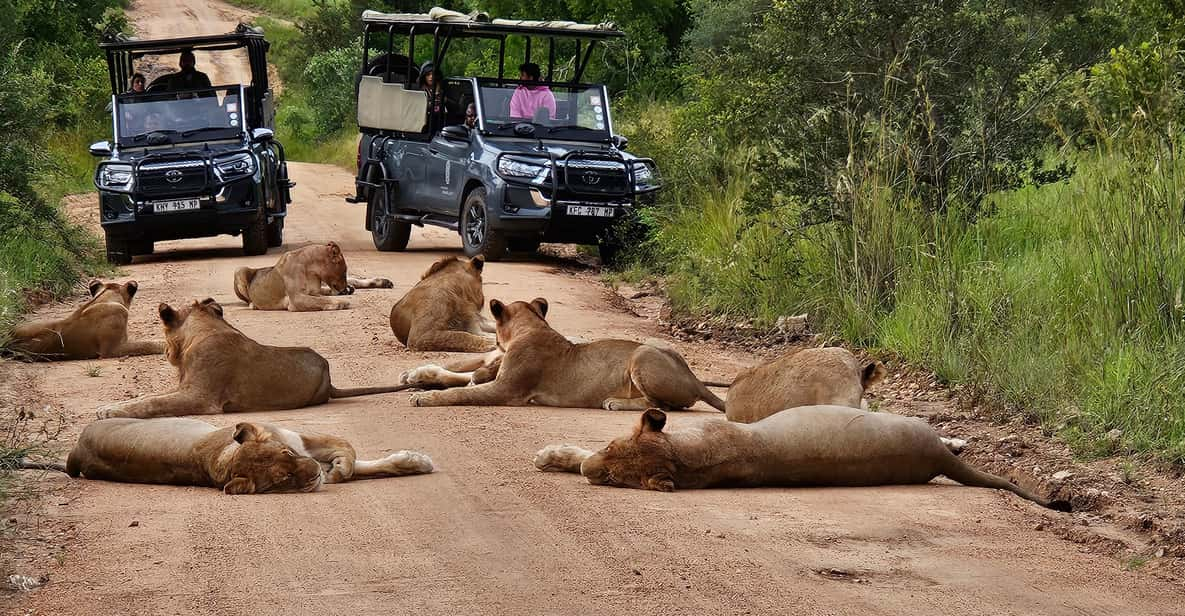 Golf and Safari Tour in Kruger National Park and at Skukuza - Itinerary and Activities