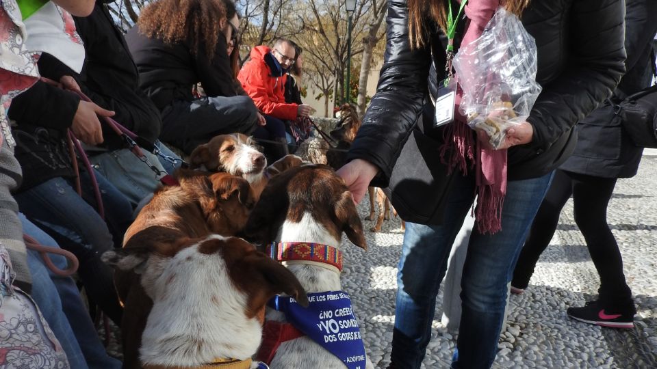 Granada: Guided Realejo Tour With Pets - Booking Information