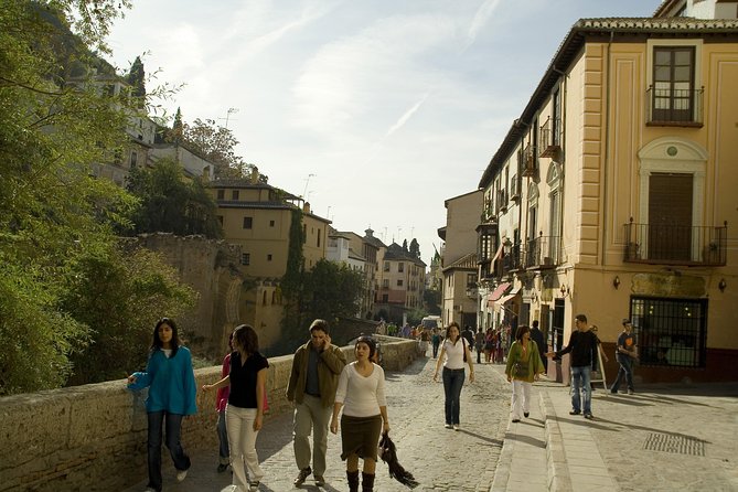 Granada Private Walking Tour With Cathedral & Royal Chapel - Albaycin and Carthusian Monastery