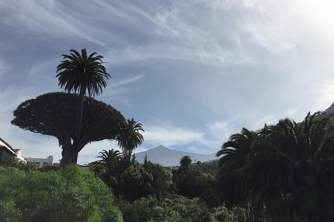 Grand Tour Tenerife - Full-Day Private VIP Tour - Inclusion Details