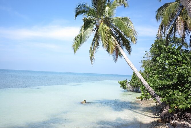 Great Tours Rosario Island, Blue Beach, Cholon And White Beach - Negative Feedback From Reviewers