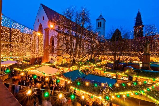 Group Tour in Italian in Freiburg Im Breisgau - Accessibility Features
