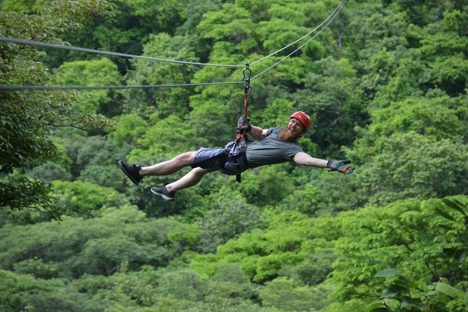 Guanacaste Forest Zipline (Tamarindo, Playa Grande, Flamingo, Potrero) - Wildlife Sightings