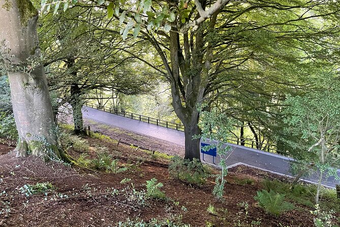 Guided Bike Ride: Exploring the Limerick Greenway - Whats Included in the Tour