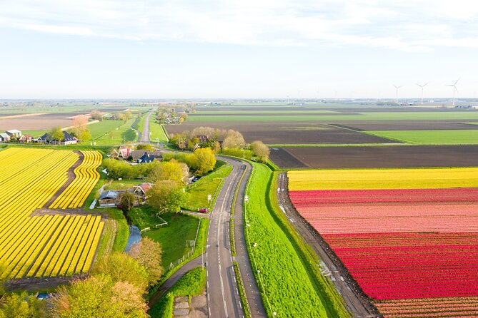 Guided Bike Tour Along the Dutch Tulip Fields in Noord Holland - Whats Included in the Experience