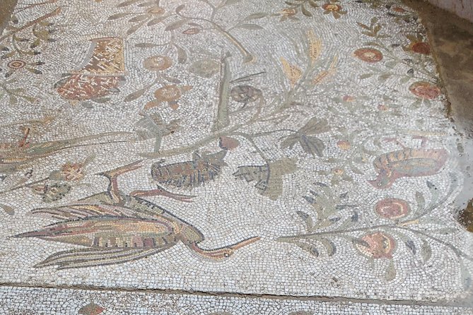 Guided Bike Tour of Carthage Archeological Site in Tunisia - Included Features and Services