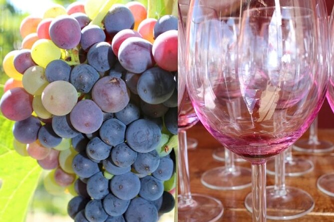 Guided Bike Tour on Historical Kettle Valley Railway at Myra Canyon & Wine Tour - Inclusions