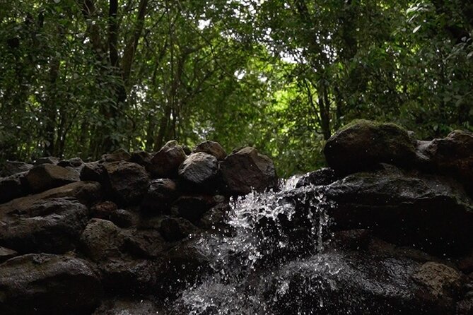Guided Fauna and Flora Observation Tour, Anton Valley - Exploring the Nature Reserve