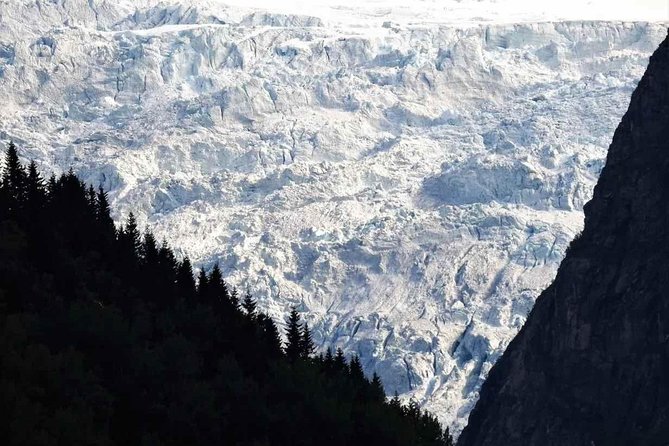 Guided Fjord & Glacier Tour - From BERGEN - Meeting and Logistics