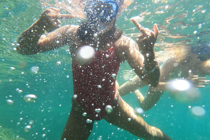 Guided Kayak & Snorkel Tour to Costa Brava: Small Group and Lunch - Inclusions
