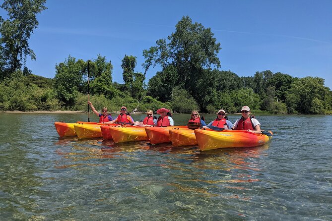 Guided Kayak Tour on Niagara River From the US Side - Exploring the Wildlife and Scenery