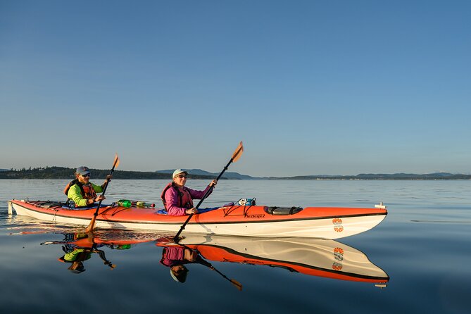 Guided Kayak Tour on San Juan Island - Exploring Griffin Bay and Dinner Island