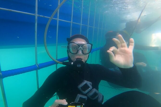 Guided Shark Cage Diving With Hookah Air Supply in Gansbaai - Inclusions