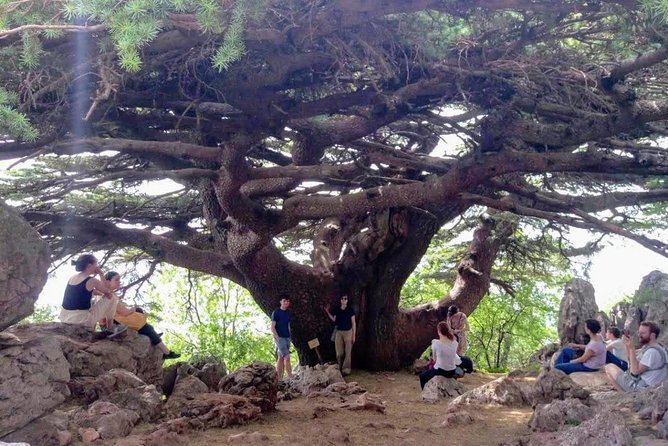Guided Small-Group Tour to Qadisha, Bcharee & Cedars With Lunch - Tour Details