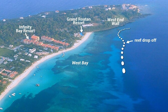 Guided Snorkeling Adventure in West Bay - Experience Details and Accessibility