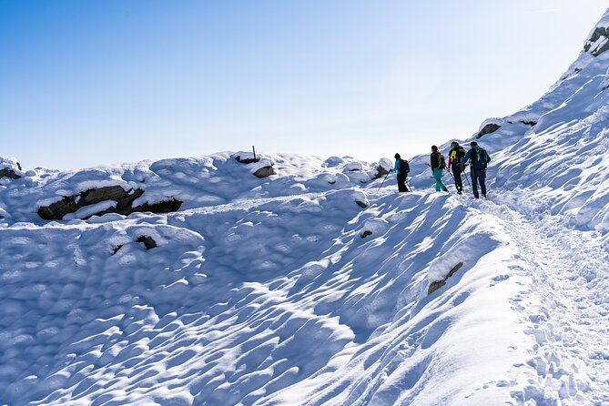 Guided Snowshoeing Day to Discover the Dolomites - Meeting and Pickup Details