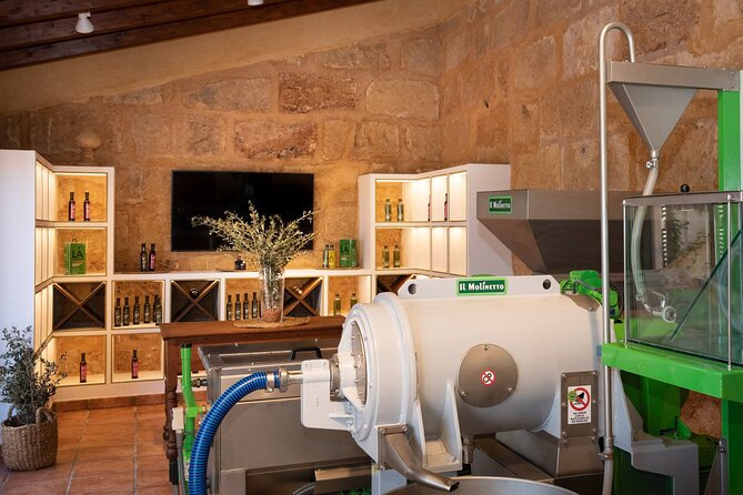 Guided Tour and Olive Oil Tasting in Mallorca - What to Expect