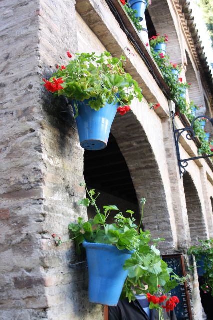 Guided Tour in Spanish to the Courtyards of Córdoba - Cultural Significance