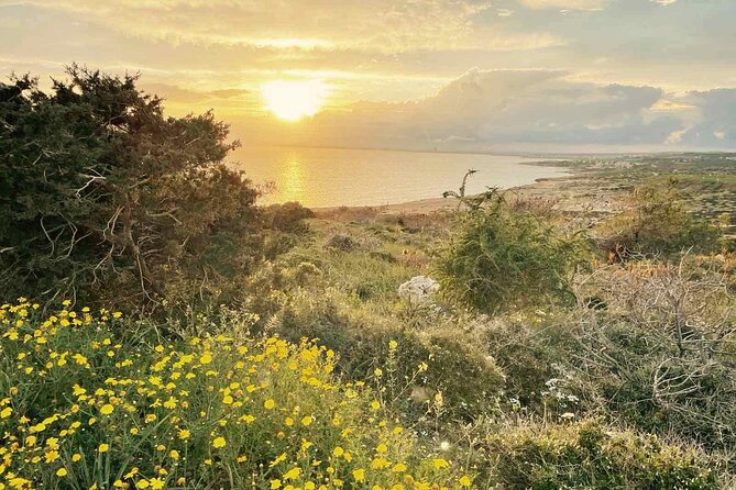 Guided Tour to Cape Greko From Larnaca - Tour Highlights