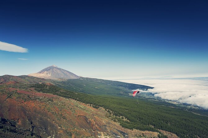Guided Tour to Teide National Park in Tenerife - Pickup Information
