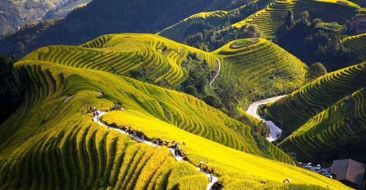 Guilin: Longji Rice Terraces and Minority Village Tour - Itinerary and Experience