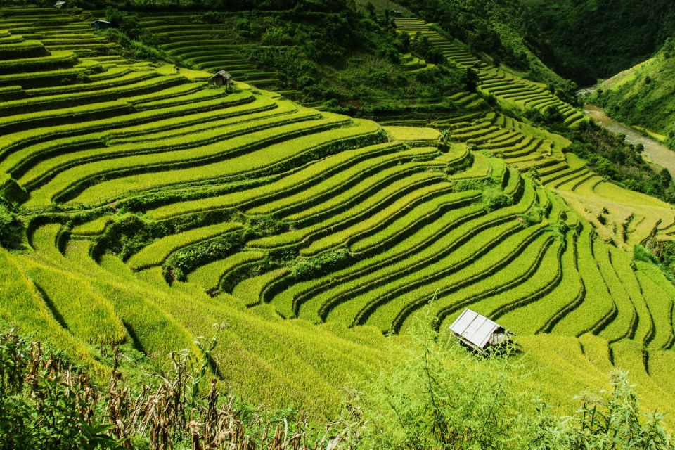 Guilin Longji Terraces Private Day Tour - Itinerary Highlights