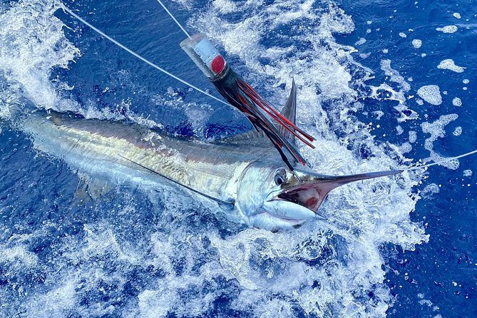 Half Day Afternoon Angler Charter - Fishing Species Targeted