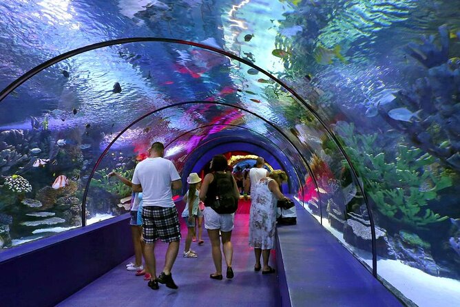 Half Day Antalya Aquarium Tour And Wax Museum - Highlights of the Aquarium