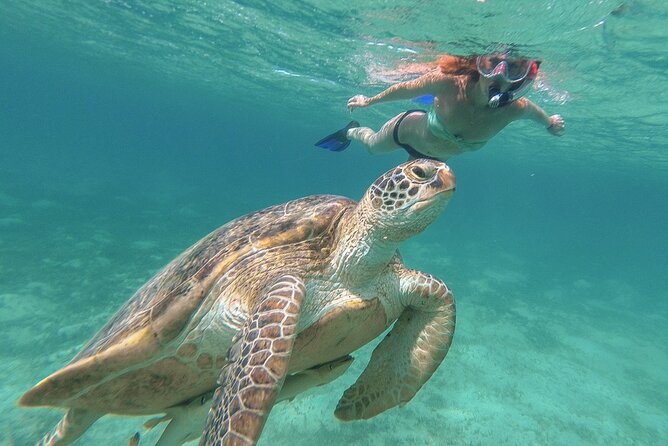 Half-Day at Green Cay Bahamas Snorkeling With Turtles - Included in the Experience