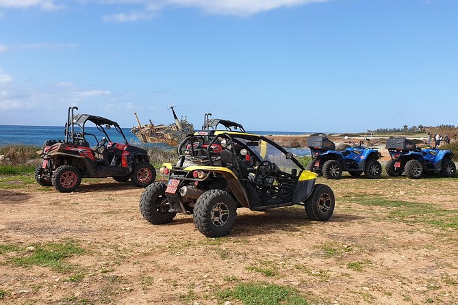 Half-Day Buggy Safari to Akamas Peninsula With Lunch - Group Size and Personalization