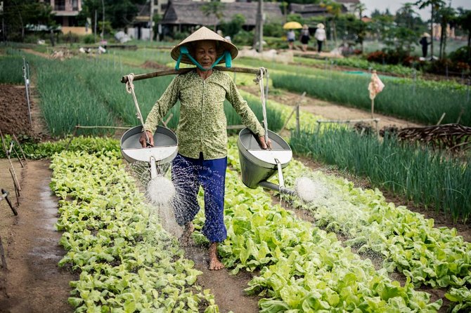 Half Day Cooking Class At Tra Que Vegetable Village Hoi An - Tour Inclusions and Benefits