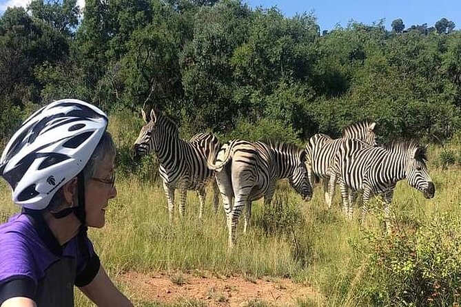 Half Day E-Biking With Wildlife Watching in Pretoria - Wildlife Experience