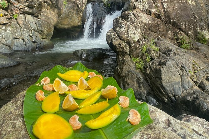 Half-Day El Yunque and Waterslides Adventure From Fajardo - Booking Flexibility