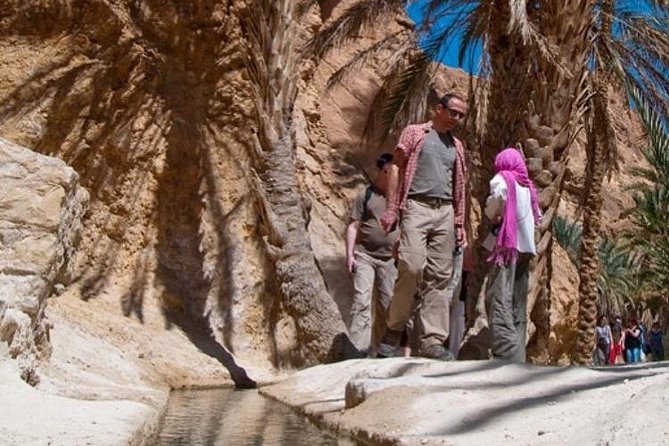 Half-Day Excursion the Mountain Oases From Tozeur - Exploring the Picturesque Desert Oases