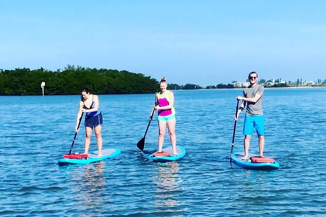 Half Day Excursion to Johns Pass Sandbar & Mangrove Tunnel - Wildlife Sightings