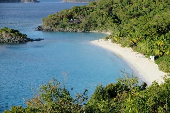Half-Day Excursion to Trunk Bay Beach - Tour Details
