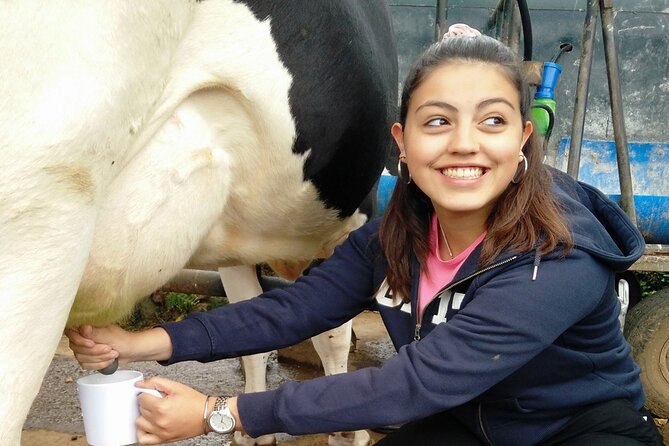 Half-Day Farm Visit and Cow Milking Experience - Inclusions and Logistics
