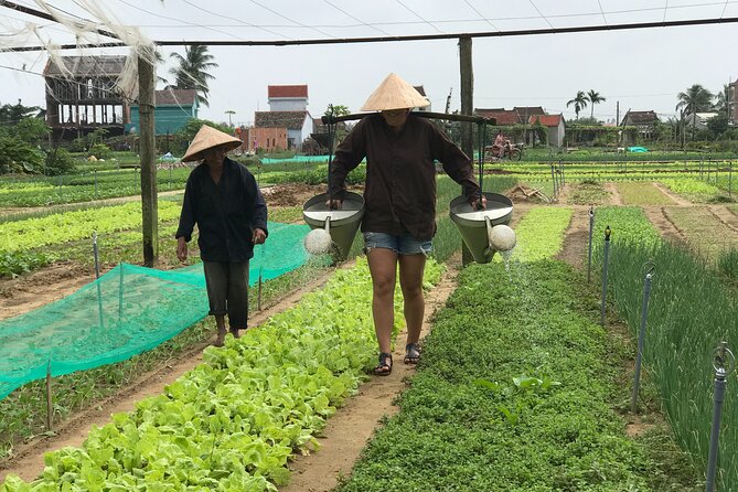 Half-Day Hoi An Countryside and Villages Tour by Bike - Cultural Insights