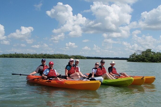 Half Day Kayak or SUP Rental (3hr) - Pelican Bay - Exploring Pelican Bay