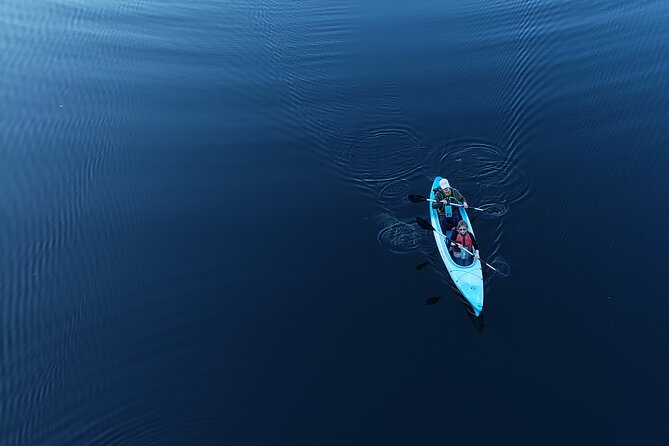 Half Day Kayak Rental on Sebago Lake - Experience Highlights