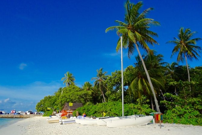 Half-Day Original Eco Tour to Villimale From Malé - Cultural Considerations
