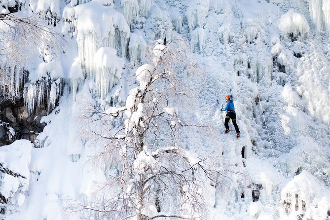 Half-Day Premium Ice Climbing in Pyhä Lapland - Mastering Ice Climbing Techniques