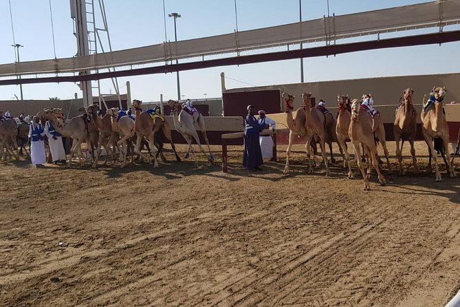 Half-Day Private Guided Camel Race Tour in Qatar - Tour Schedule and Duration