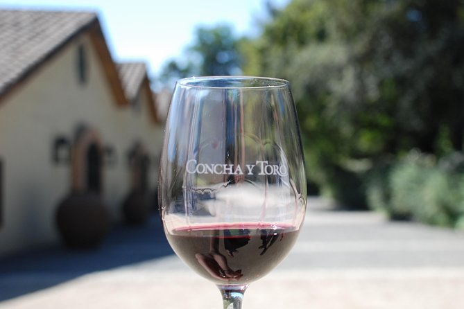 Half-Day Private Tour: Concha Y Toro Vineyard From Santiago Winetasting Included - Concha Y Toro Winery and Grounds