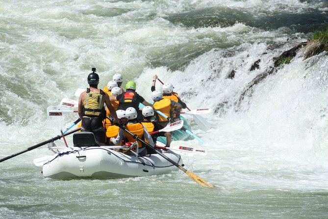 Half Day Rogue River White Water (Class I- IV) - Adventure Activities